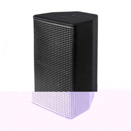 SSP Audio T25 2x5 inç 100W Koaksiyal 2 Yollu Pasif Hoparlör