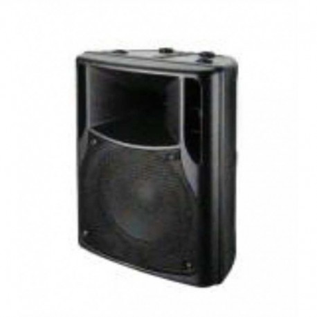 SSP Audio FS10 10 inç 120W RMS 2 Yollu Aktif Kabin